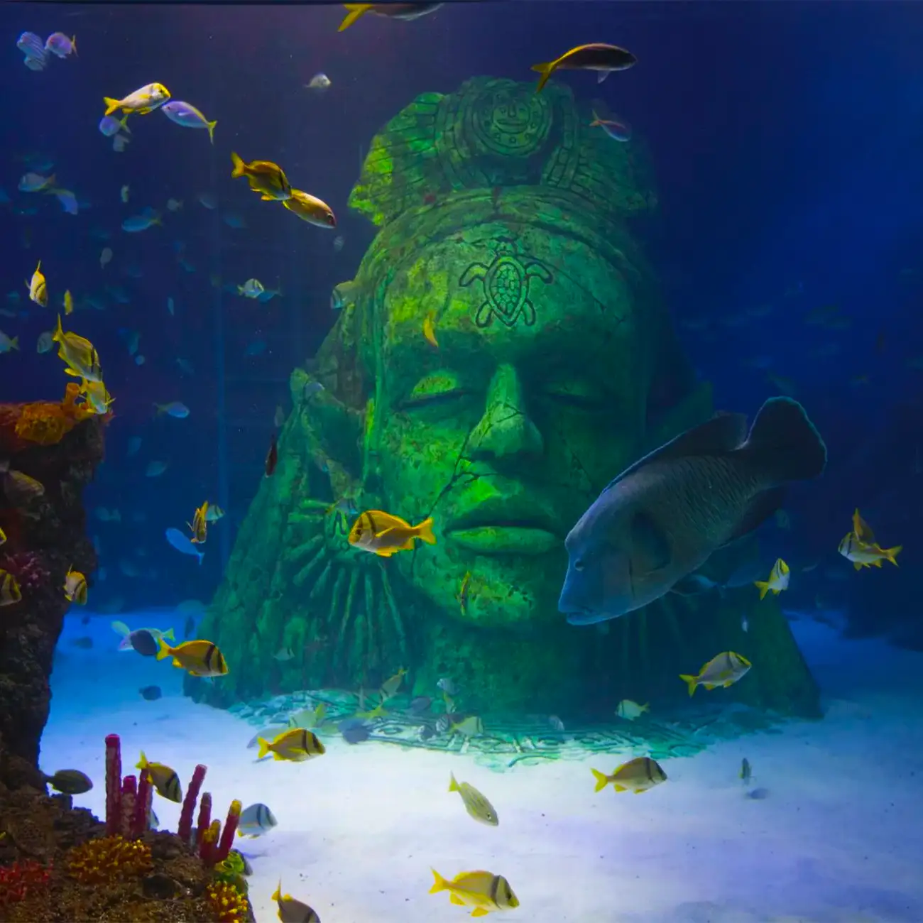 SEA LIFE Manchester
